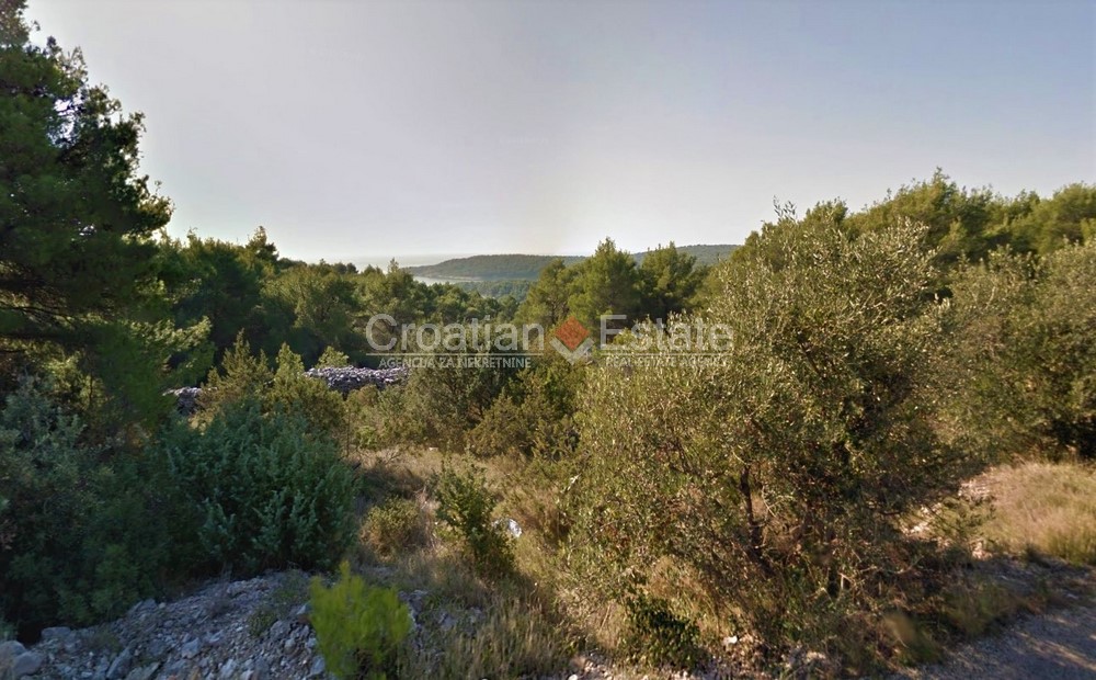 croatia-agricultural-land-sea-view-sale(102)