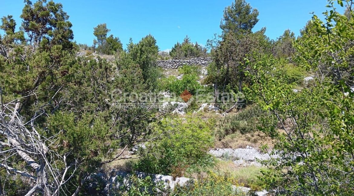 croatia-brac-building-land-sea-view-sale(102)