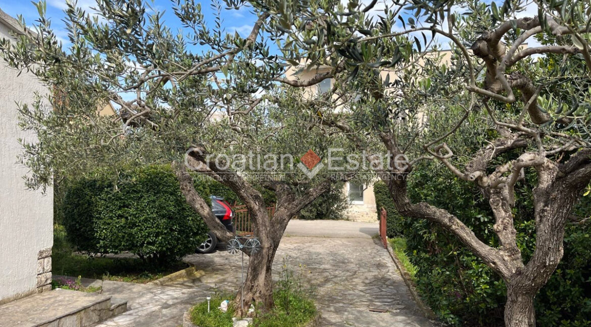 croatia-brac-stone-house-garden-parking-sale(109)