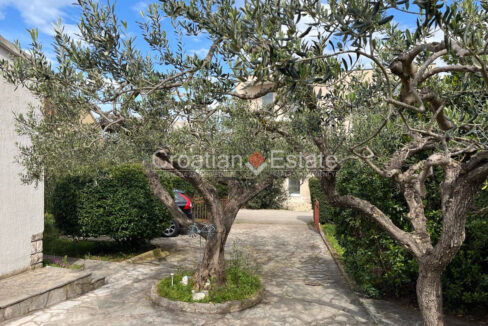 croatia-brac-stone-house-garden-parking-sale(109)