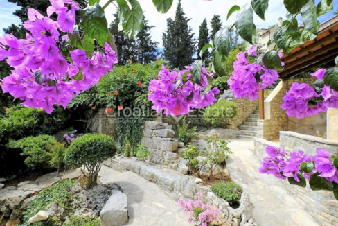 A house for sale on Brac, Croatia, with a yard containing stone walls, paved pathways, cultivated flowers and other plants.