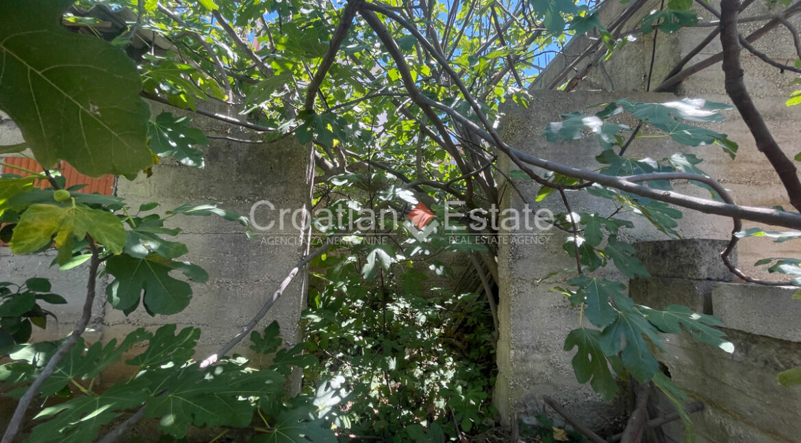 croatia-ciovo-house-garden-sale(113)