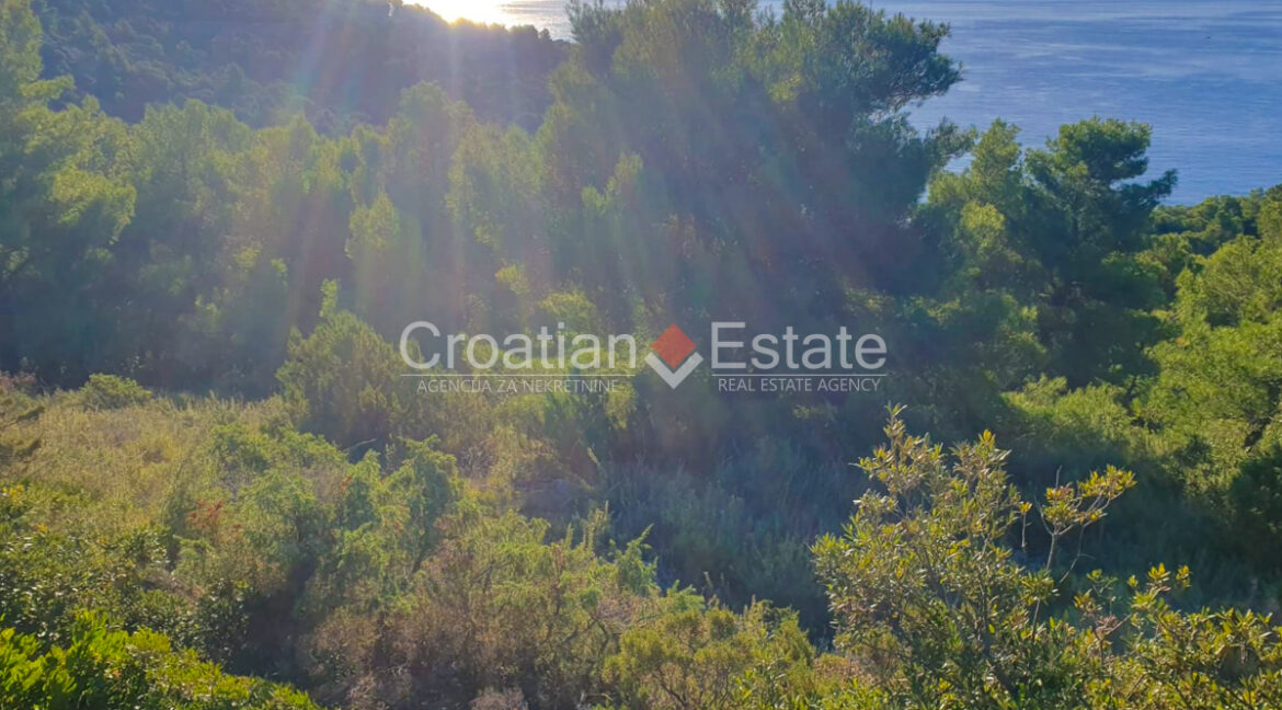 croatia-hvar-building-plot-sea-view-sale(101)