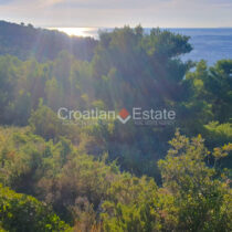 A building plot for sale on Hvar, Croatia, with a view of the sea and vegetation.