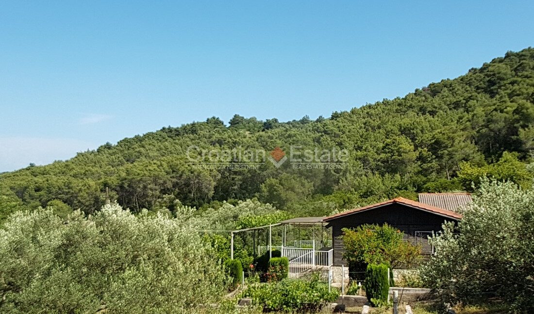 croatia-solta-two-houses-large-plot-sale(101)