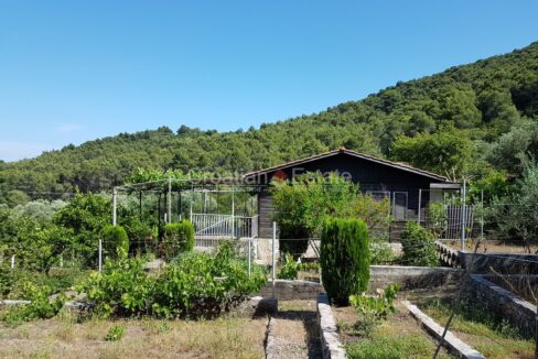 croatia-solta-two-houses-large-plot-sale(102)