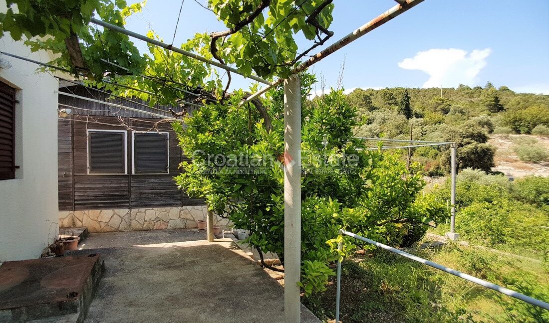 croatia-solta-two-houses-large-plot-sale(106)